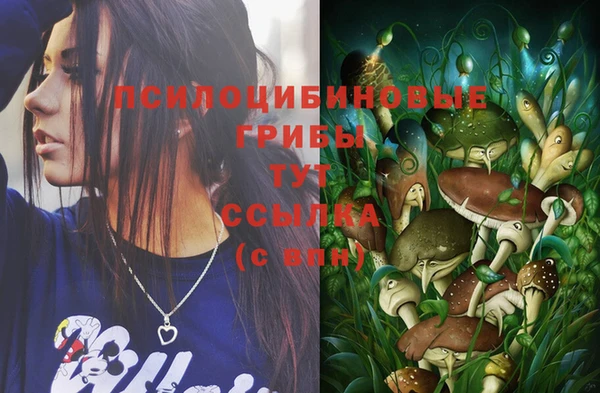 ешки Балахна