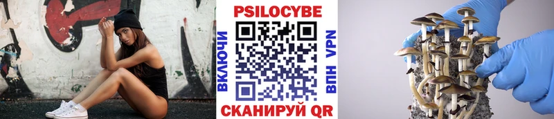 Псилоцибиновые грибы мицелий Саратов
